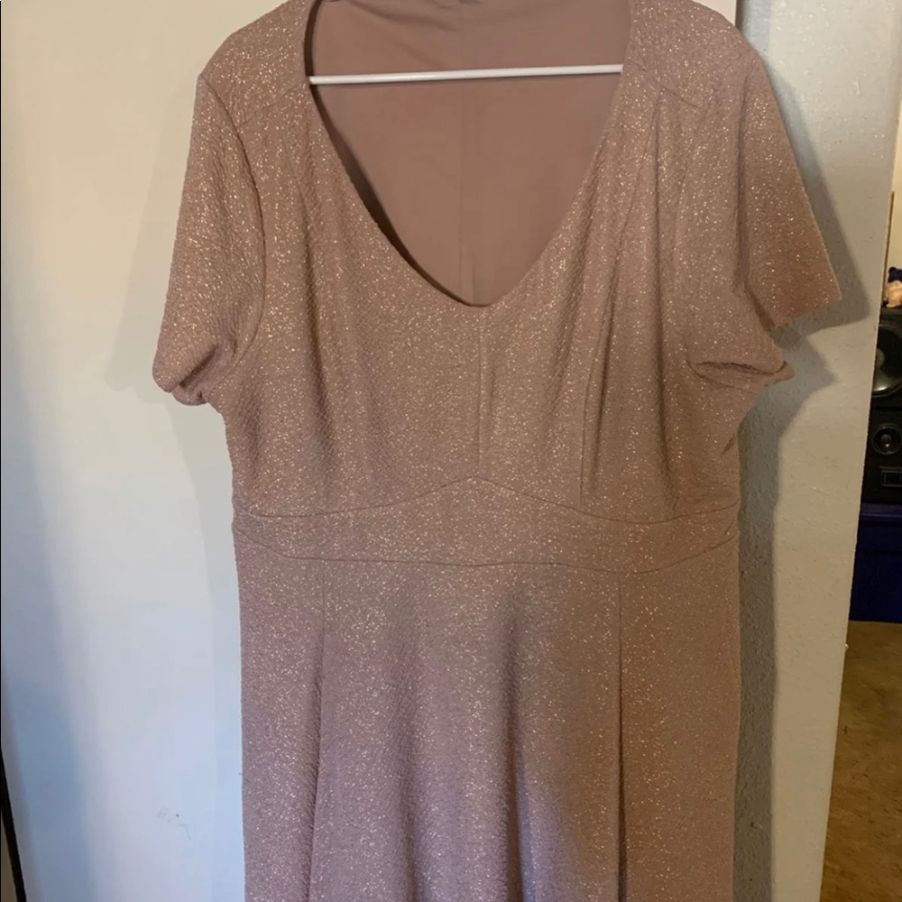 Torrid Blush and Gold Fleck Dress